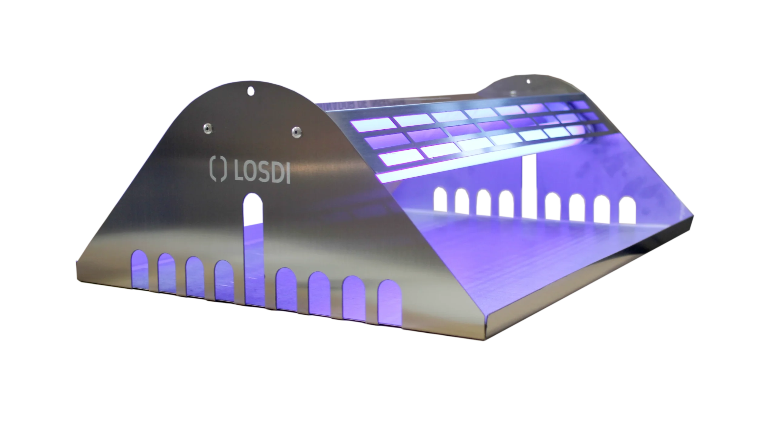 Atrapainsectos colgante: imagen 1